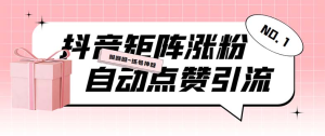 外面收费3988斗音矩阵涨粉挂机项目，自动化操作【软件+视频教程】-云顶工作室—自媒体博客，关注精准流量获取及转化率提升！