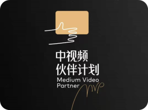 一单利润200-300，中视频计划又出新玩法，太香了！-云顶工作室—自媒体博客，关注精准流量获取及转化率提升！