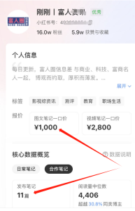 小红书商单项目，一天多花30分钟，每月多赚1万块-云顶工作室—自媒体博客，关注精准流量获取及转化率提升！