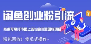 闲鱼创业粉引流日引1000+粉保姆级教程-云顶工作室—自媒体博客，关注精准流量获取及转化率提升！