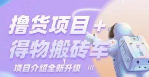 云顶团队🦌货+得物搬砖车介绍-云顶工作室—自媒体博客,关注精准流量获取及转化率提升!