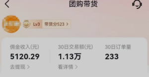 12.15更新（13个项目）-云顶工作室—自媒体博客，关注精准流量获取及转化率提升！