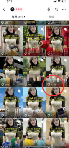 全新Ai中年美女项目，图文带货爆单新玩法！-云顶工作室—自媒体博客，关注精准流量获取及转化率提升！