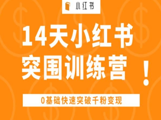 图片[5]-6.7更新（9个项目）-云顶工作室—自媒体博客，关注精准流量获取及转化率提升！